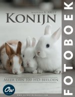 Konijn