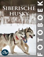 Siberische husky