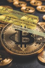 Cryptocurrency Chronicles