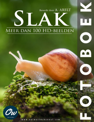 Slak