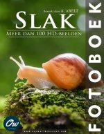 Slak