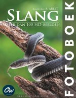Slang