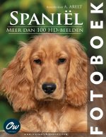Spaniël