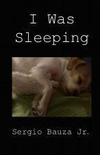 I Was Sleeping
