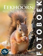 Eekhoorn