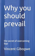 Why you should prevail