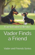 Vader Finds a Friend