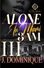 Alone In Miami At 3AM 3