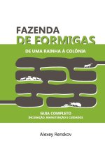 FAZENDA DE FORMIGAS