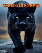 Schwarzer Panther