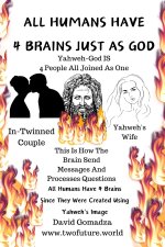 ALL HUMANS HAVE 4 BRAINS JUST AS GOD