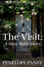 The Visit