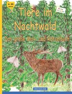 Tiere im Nachtwald