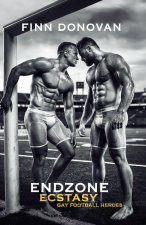 Endzone Ecstasy