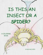 Is This an Insect or a Spider