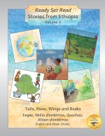 Stories From Ethiopia Volume V