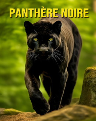 Panthère Noire