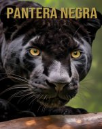 Pantera negra
