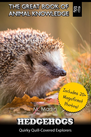 Hedgehogs