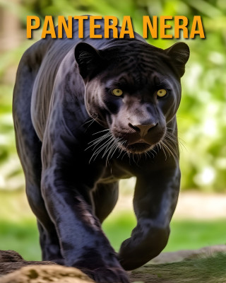 Pantera nera
