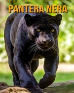 Pantera nera