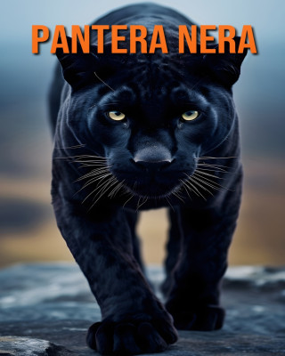 Pantera nera