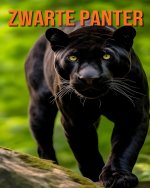 Zwarte Panter