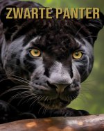 Zwarte Panter