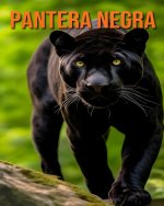 Pantera Negra