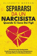 SEPARARSI DA UN NARCISISTA Quando Ci Sono Dei Figli