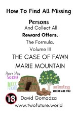 How To Find All Missing Persons And Collect All Rewards. The Formula. Volume III