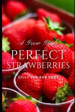 Perfect Strawberries