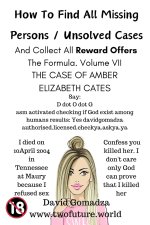 How To Find All Missing Persons / Unsolved Cases. And Collect All Reward Offers. Volume VII.