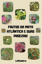 FRUTOS DA MATA ATL NTICA E SUAS PROESAS!
