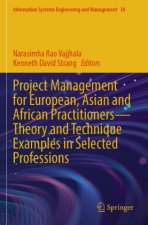 Project Management for European, Asian and African Practitioners-Theory and Technique Examples in Selected Professions