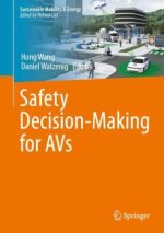 Safety Decision-Making for AVs