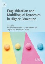 Englishisation and Multilingual Dynamics in Higher Education
