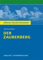 Der Zauberberg von Thomas Mann - Textanalyse und Interpretation