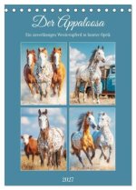 Der Apaloosa. Ein zuverlässiges Westernpferd in bunter Optik (Tischkalender 2027 DIN A5 hoch), CALVENDO Monatskalender