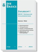 Die Basics Zivilrecht I - BGB AT / Vertragliche Schuldverhältnisse