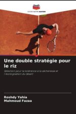Une double stratégie pour le riz