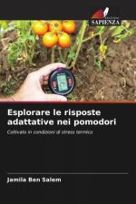 Esplorare le risposte adattative nei pomodori
