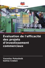 Évaluation de l'efficacité des projets d'investissement commerciaux