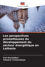 Les perspectives prometteuses du développement du secteur énergétique en Lettonie