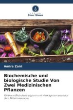Biochemische und biologische Studie Von Zwei Medizinischen Pflanzen