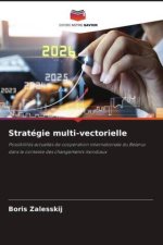 Stratégie multi-vectorielle