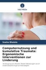 Computernutzung und kumulative Traumata: Ergonomische Interventionen zur Linderung