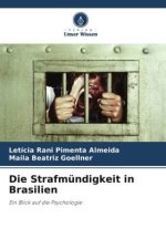 Die Strafmündigkeit in Brasilien