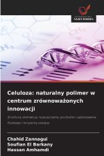 Celuloza: naturalny polimer w centrum zrównowazonych innowacji