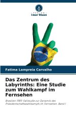 Das Zentrum des Labyrinths: Eine Studie zum Wahlkampf im Fernsehen